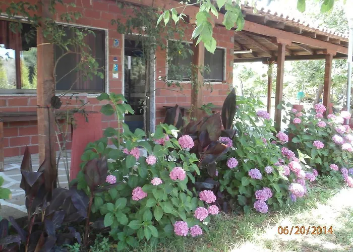 公寓 Perseus Skala Rachoni (Thasos)