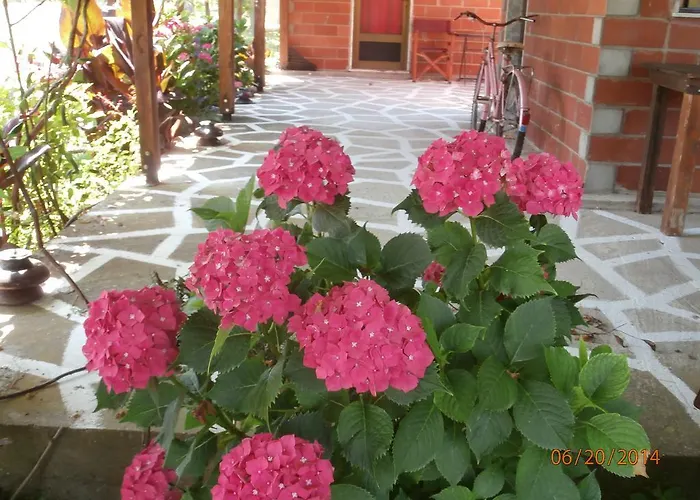 Perseus 公寓 Skala Rachoni (Thasos)