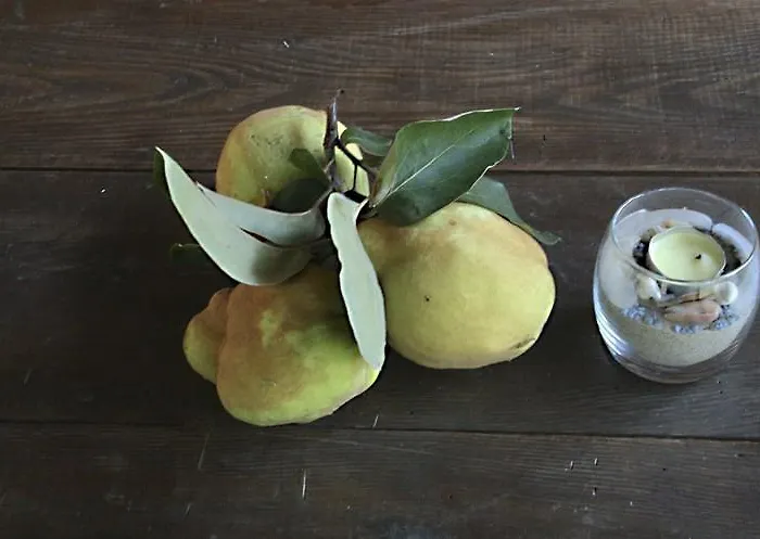 公寓 Perseus Skala Rachoni (Thasos)